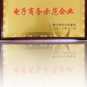 電子商務示范企業(yè)