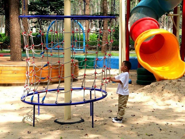 魔力樹(shù)網(wǎng)