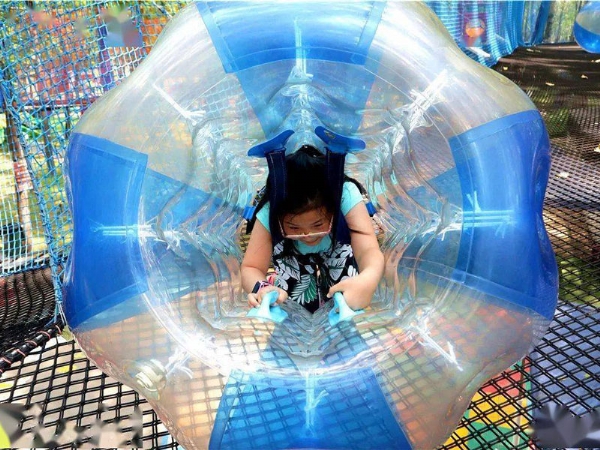 魔力樹(shù)網(wǎng)